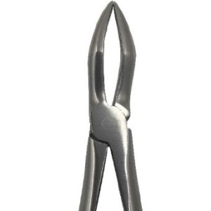Forcep acero N°51L - RAÍZ SUPERIOR
