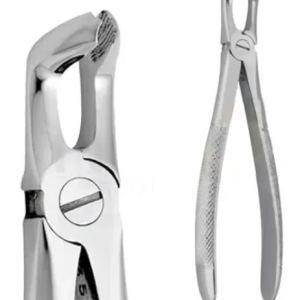 Forcep Curvo Sobre el Plano Grueso con Espolón
